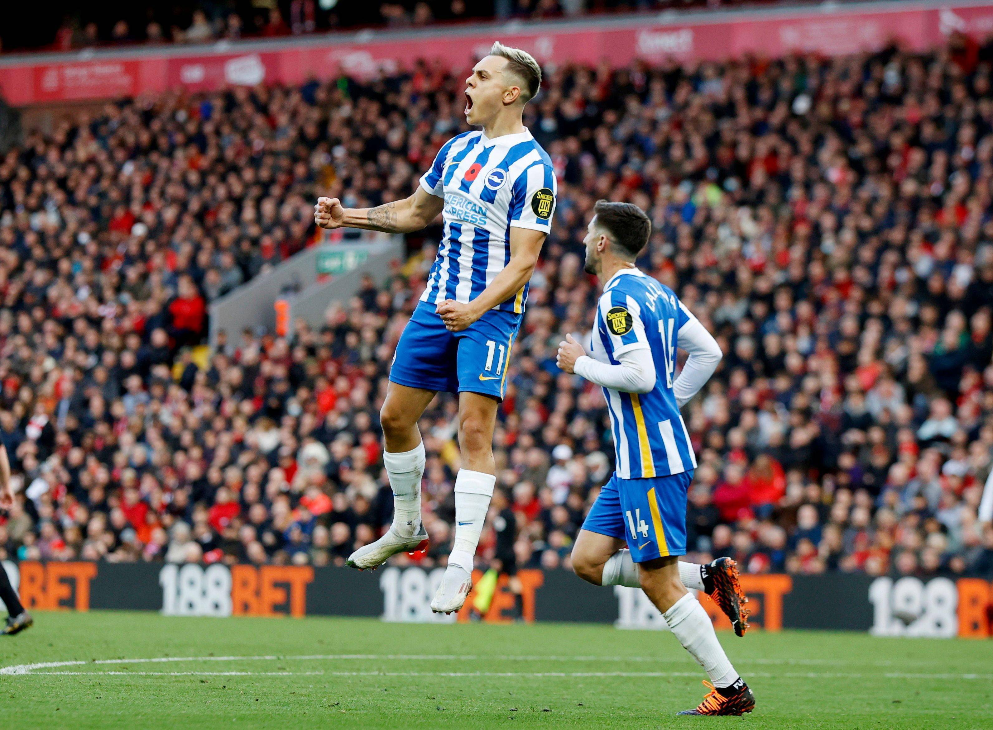 合理训练的 合理训练的